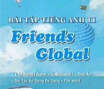 Bài Tập Tiếng Anh 11 Friends Global ( 4 Kỹ Năng )