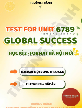 TEST FOR UNIT GLOBAL SUCCESS THCS